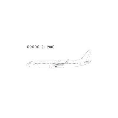 NG Models 1:200 Blank Boeing 737-900/w 09000