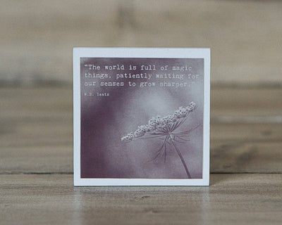 Magnet - The World is Full of Magic Things