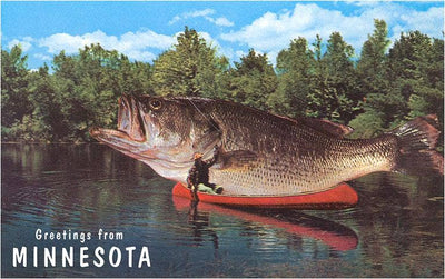 Postcard MN-327 Greetings from Minnesota, Giant Fish