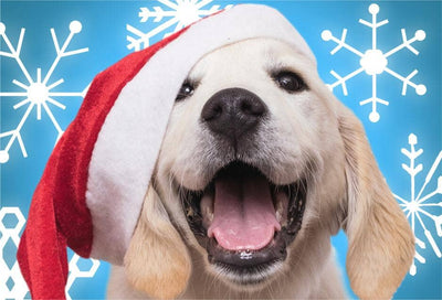 Santa Paws Micro Puzzle