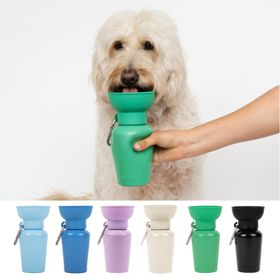 Dog Travel Flip Water Bottle (20oz)