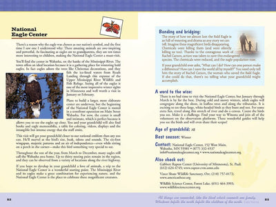 Grandparents Minnesota Style, 2nd Ed.