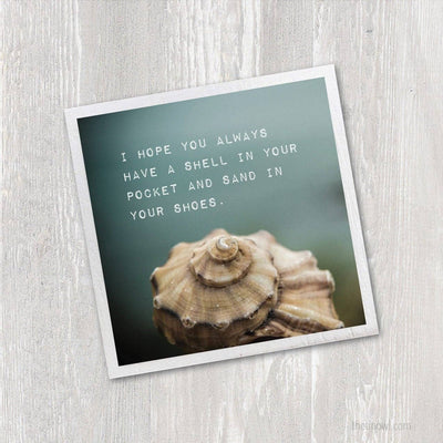 Magnet - Seashell In Your Pocket