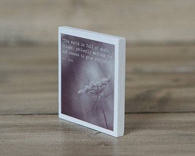 Magnet - The World is Full of Magic Things