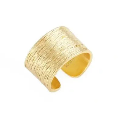 Elegant Brushed Finish Ring for Modern Style